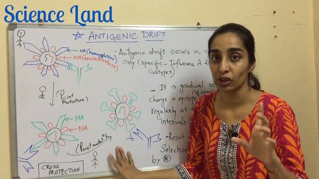 Antigenic Drift | Antigenic Drift in Influenza Virus | Science Land смотреть онлайн