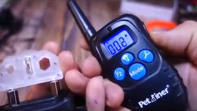 Petrainer PET998DB Electronic Dog Training Collar Review смотреть онлайн