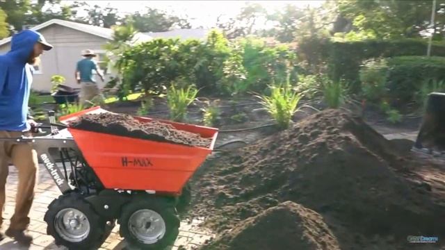 H Max Green Dreams FL