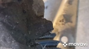 Скрип на кочках и при повороте Рено Логан 1