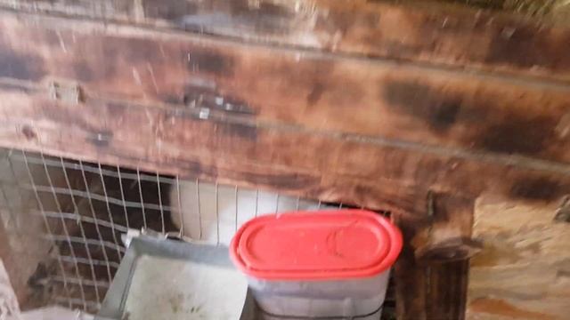 Как поживают наши кролики? Продаём всё что движется. смотреть онлайн