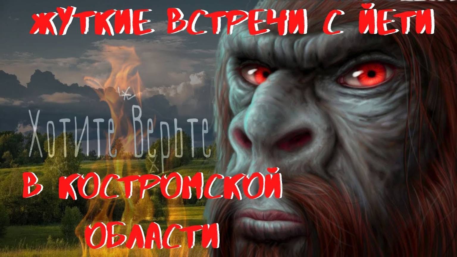 Жуткие встречи с Йети.В Костромской области.Взгляд Йети проникает в душу и вселяет дикий ужас. смотреть онлайн