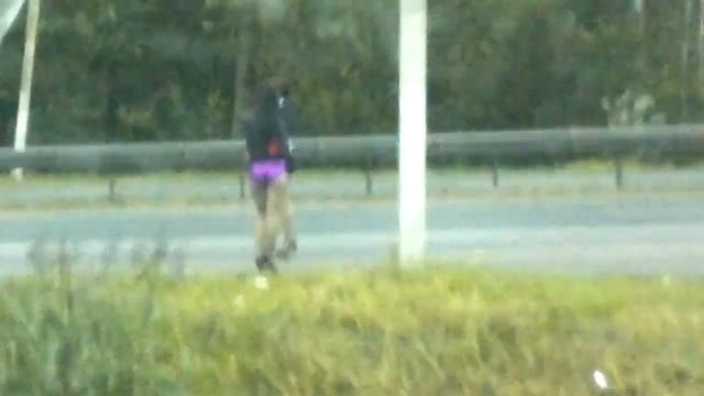 Шершень смотреть онлайн