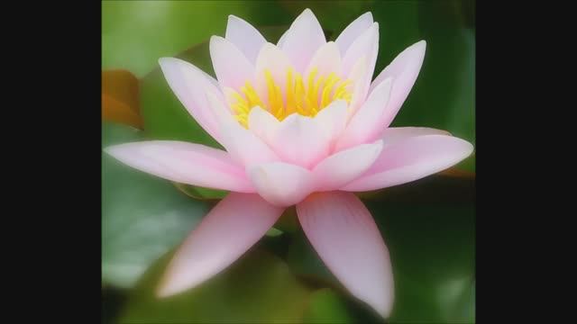 Meditation Music Violin- Sahaja Yoga