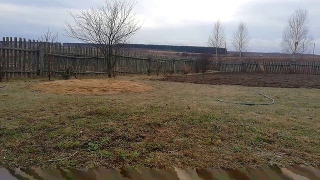 Монтажный эксперимент. Эффект Кулешова смотреть онлайн