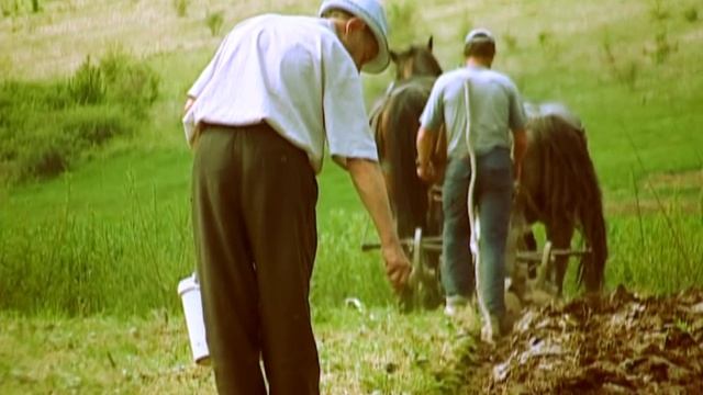 MI-S BAIATUL DE LA TARA SEZON 1 EPISOD 4 смотреть онлайн