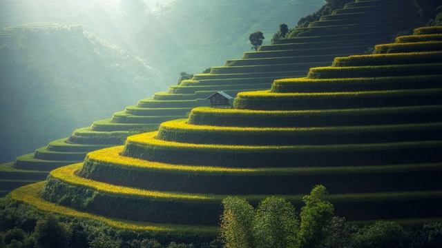 Новый путь😊  Точка роста!☝ (актуально на момент прослушивания)