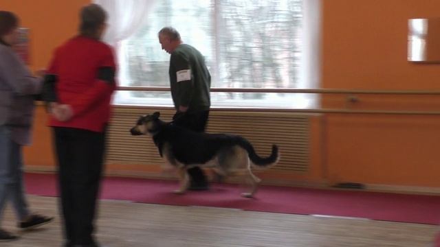 Калужский Витязь Гранат