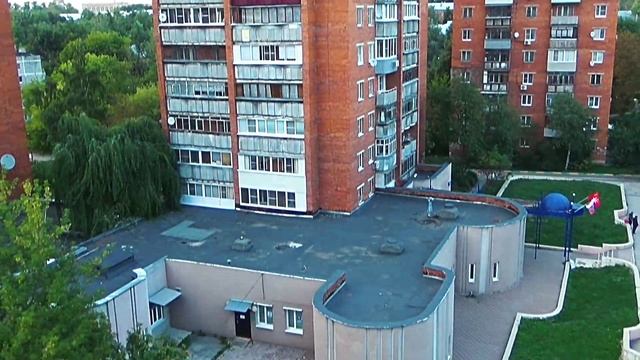 Ястреб-перепелятник ворвался в город смотреть онлайн