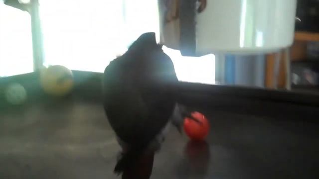 More Kumi play смотреть онлайн