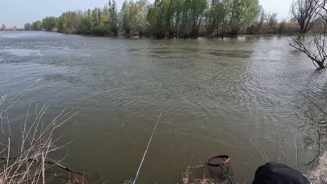 ЛОВЛЯ ВЕСЕННЕЙ ВОБЛЫ И САЗАНА В АСТРАХАНИ в 2024 году в 4K смотреть онлайн