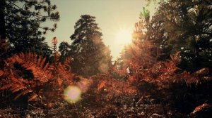 Распять себя в клевете и поношениях ради людей...