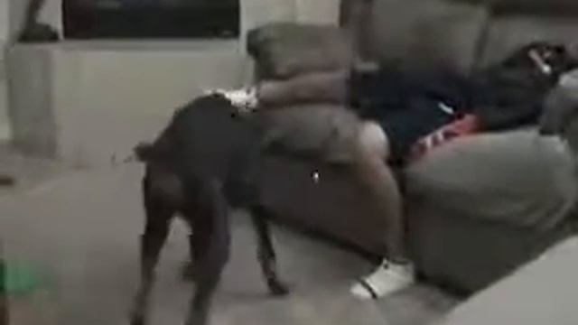 Lazer Pointer Fail смотреть онлайн