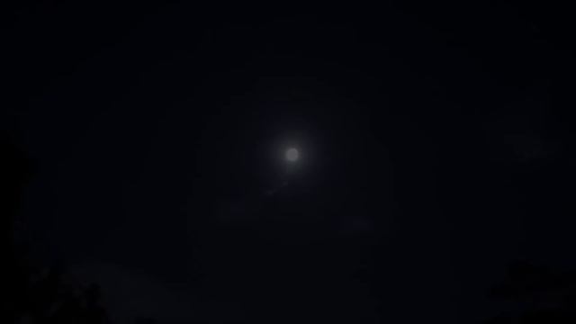 ASMR 처음 먹어보는 바위굴 리얼사운드 먹방 & 솔직 리뷰 (시골집에서 아버지랑 물회먹방) Giant oysters Real Sound Eating Show смотреть онлайн