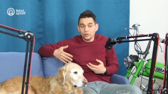 Keményebb, mint gondolod. | Golden Retriever fajtabemutató | #30 смотреть онлайн