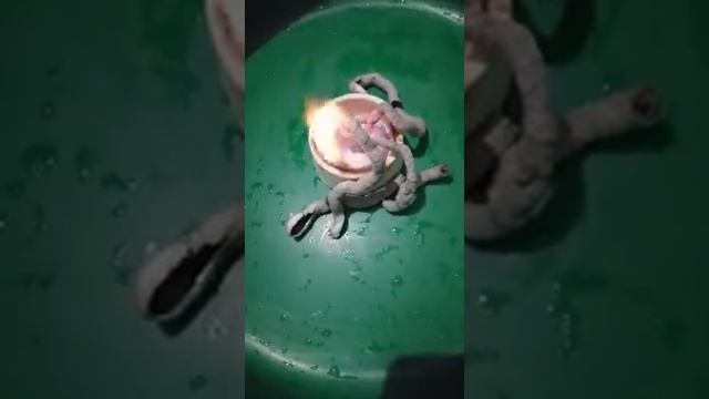 фараонавая змея 3 смотреть онлайн