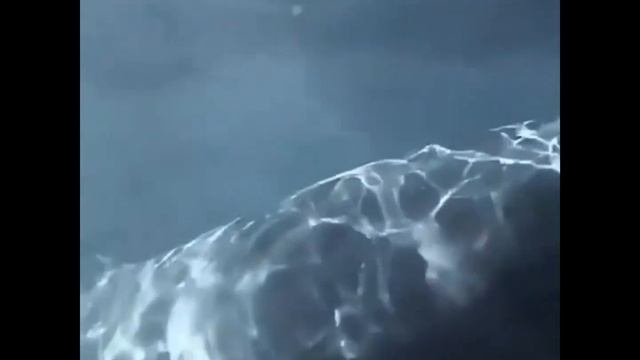 Страшная акула смотреть онлайн