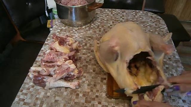 Видео отзыв смотреть онлайн