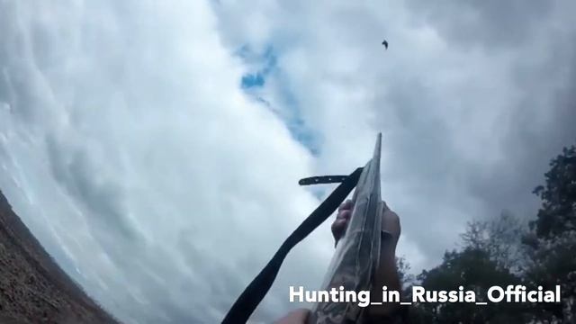 Охота на фазана 2017. Краснодарский край смотреть онлайн