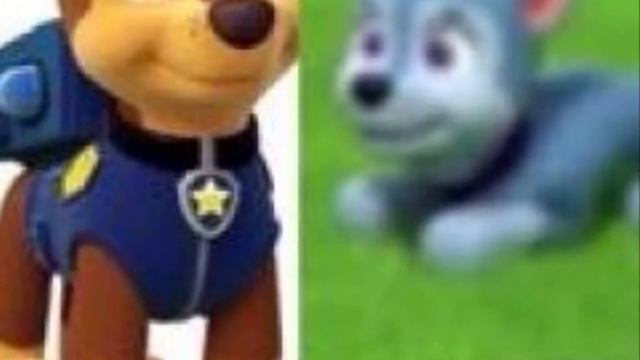 Paw Patrol Chase And Sylvia