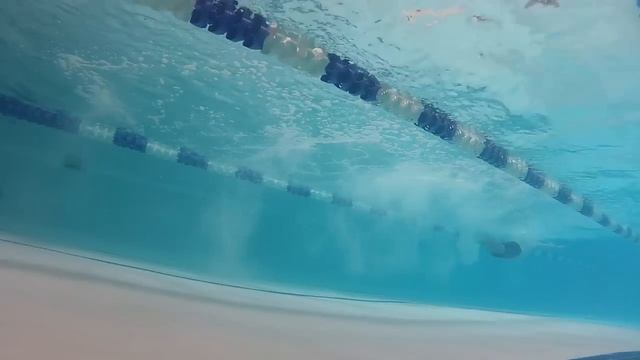 Butterfly critique 1 смотреть онлайн