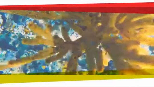 Sol Rio de Luna y Mares- Holguín, Cuba 2017 смотреть онлайн