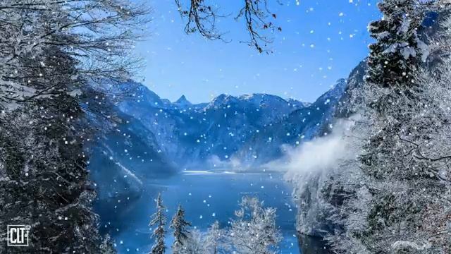 Чтение Библии для успокоения души.