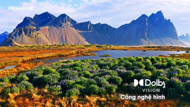 HISENSE X A6500 - Thế giới giải trí trong tầm tay смотреть онлайн