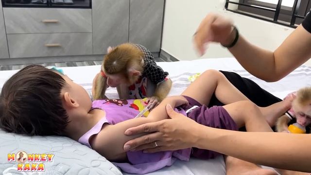 Monkey Kaka's Concern: Dealing with a Sick Diem and Runny Nose смотреть онлайн