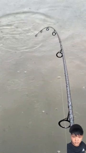 When It Rains, Do You Fish Deep Or Shallow For Carp?When Fishing For Carp On Rainy Days, You Need T