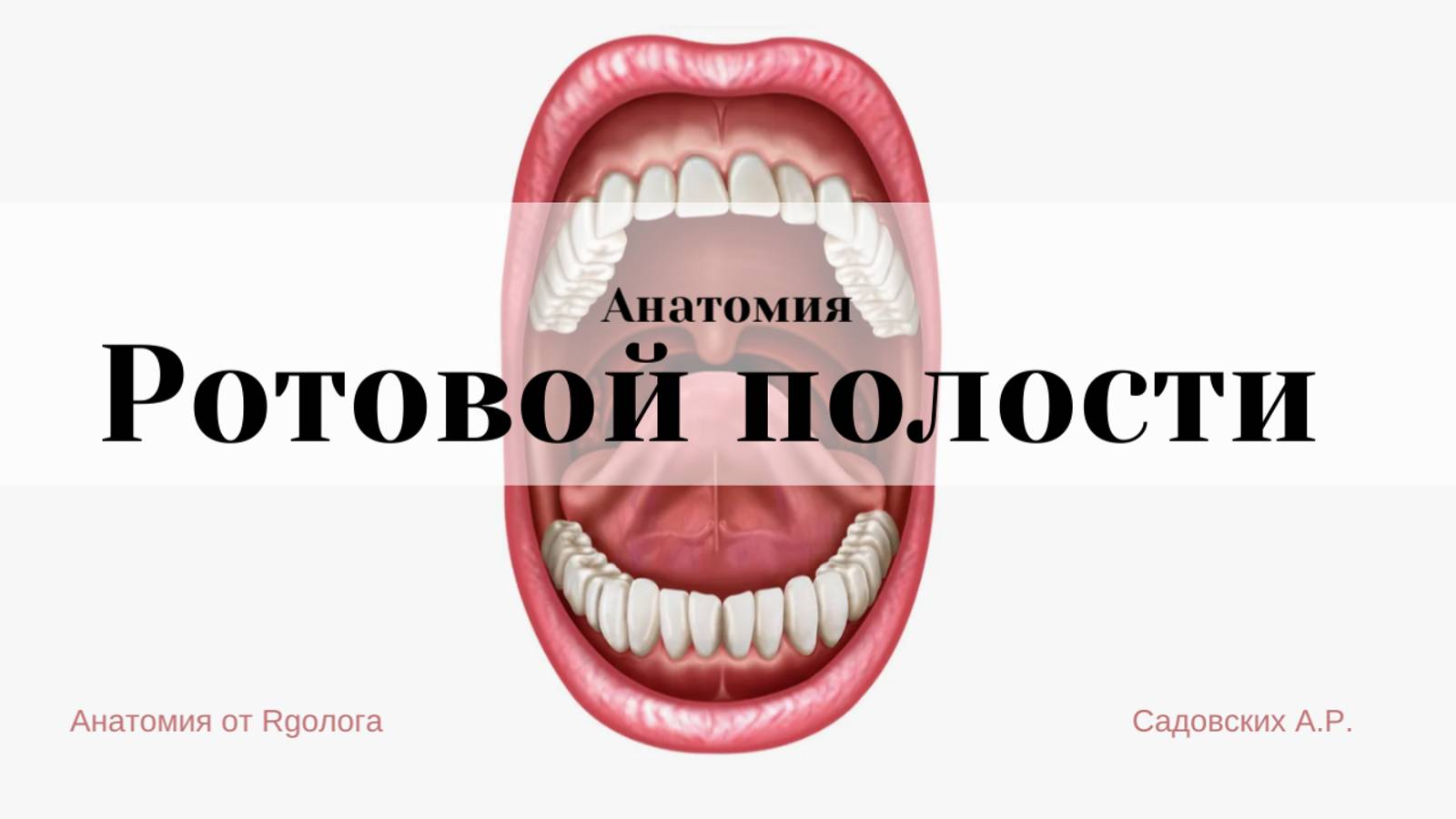 Ротовая полость смотреть онлайн