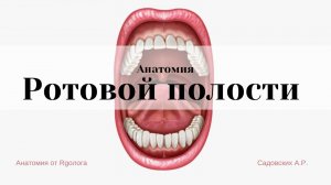 Ротовая полость