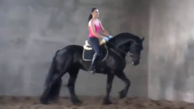 Тренировка Эльмара смотреть онлайн