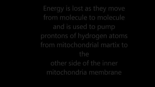 ELECTRON TRANSPORT CHAIN смотреть онлайн