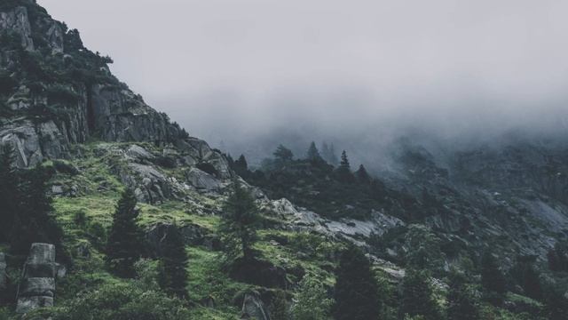 Whatever We Are - LIMBO (M'ren Capone Remix) смотреть онлайн