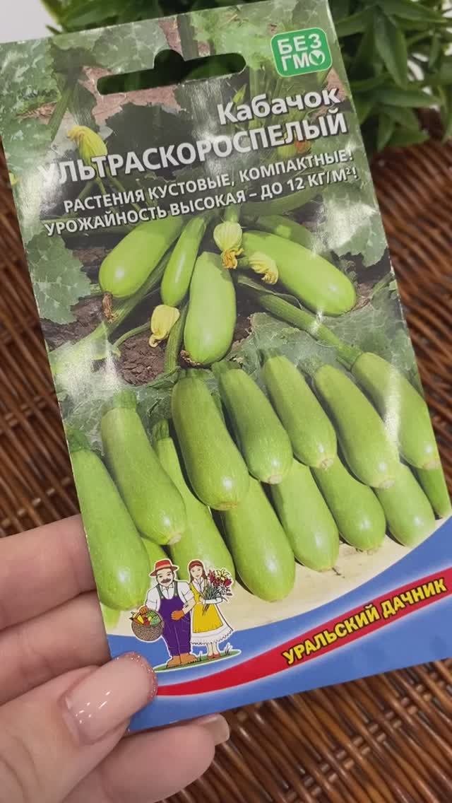 Какие кабачки выбрала для посадки в этом году. смотреть онлайн