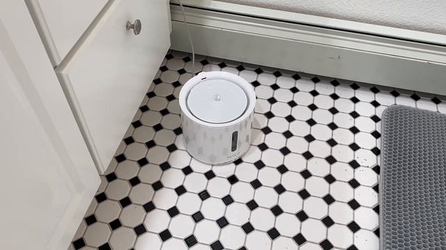 Petkit Eversweet Solo 2 Review: Best Cat Water Fountain 2023? смотреть онлайн