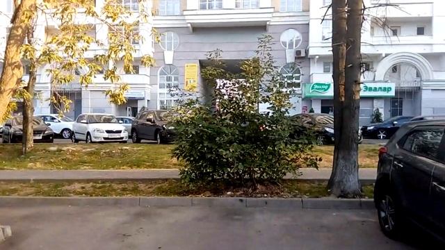 Пример записи видео на MicroMax Canvas Juice 2 (День) смотреть онлайн