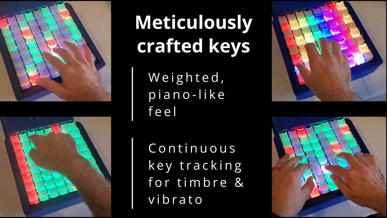 Dog Paw: MPE Controller Teaser