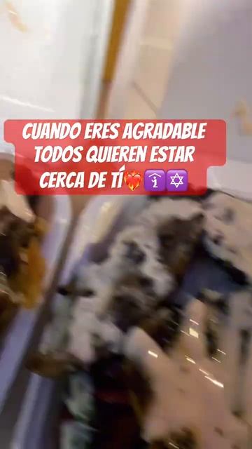 ✡️🐽🍔Las Mejores Chuletas de Cerdo a la Plancha👏🔥#lasmejoreschuletas #lasmejoreschuletasdecerdo смотреть онлайн