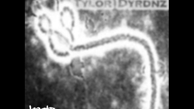08. Guck Uns An - Tylor Dyrdnz смотреть онлайн