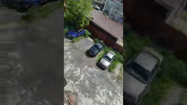 Кошка России Лу́на в прямом эфире! смотреть онлайн