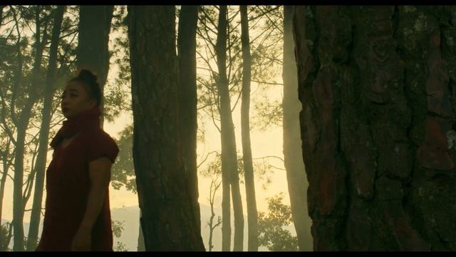 Terai Mayale Jogi Banayo - Eleena Chauhan • Ft.Swaviman Subedi/Shanti Pakhrin/Ashmi Dhakal New Song смотреть онлайн