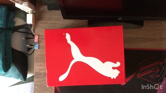 Unboxing Futsal Shoes Puma Future 5.4 смотреть онлайн