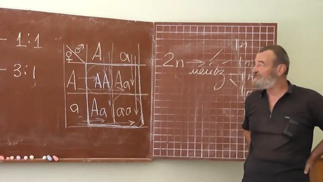 93 Шесть вариантов