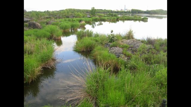 Невероятно интересная Прогулка по вулканическому полю в Удалянчи. Китай.