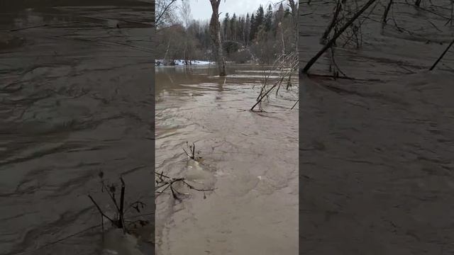 Сплав по реке Веля, опасное течение, мощное половодье, отдых окончен, 2 апреля 2024. смотреть онлайн