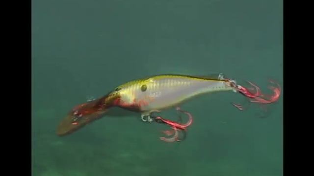 Rapala® Bleeding Bait Series смотреть онлайн