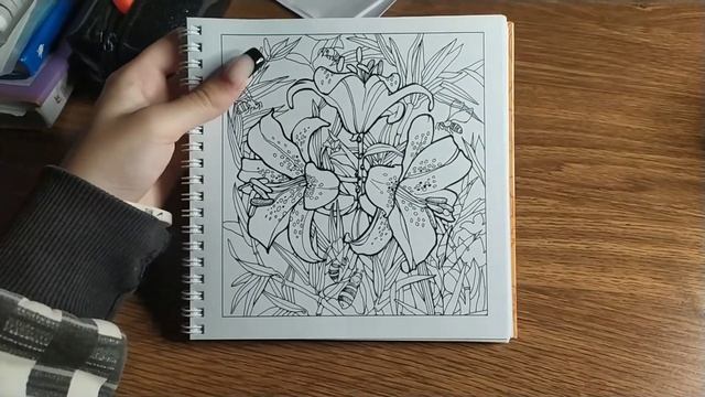 Начинаю новые раскраски/Челлендж/ВалерКА