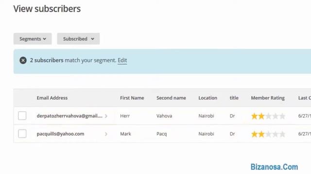 10 How to Create a MailChimp Segment - Bizanosa.com смотреть онлайн